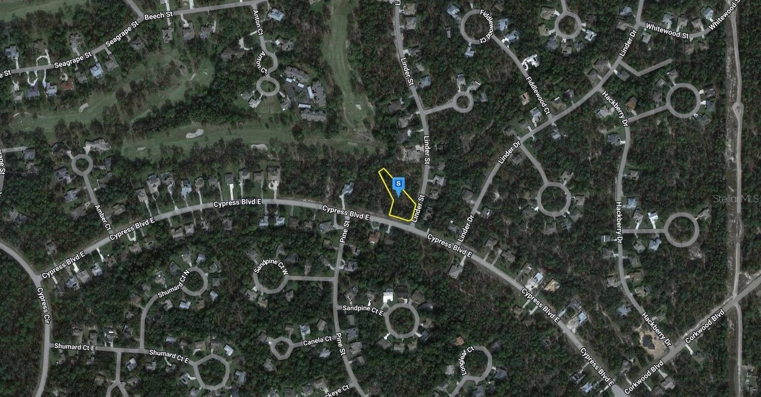 Homosassa, FL 34446,2 LINDER ST