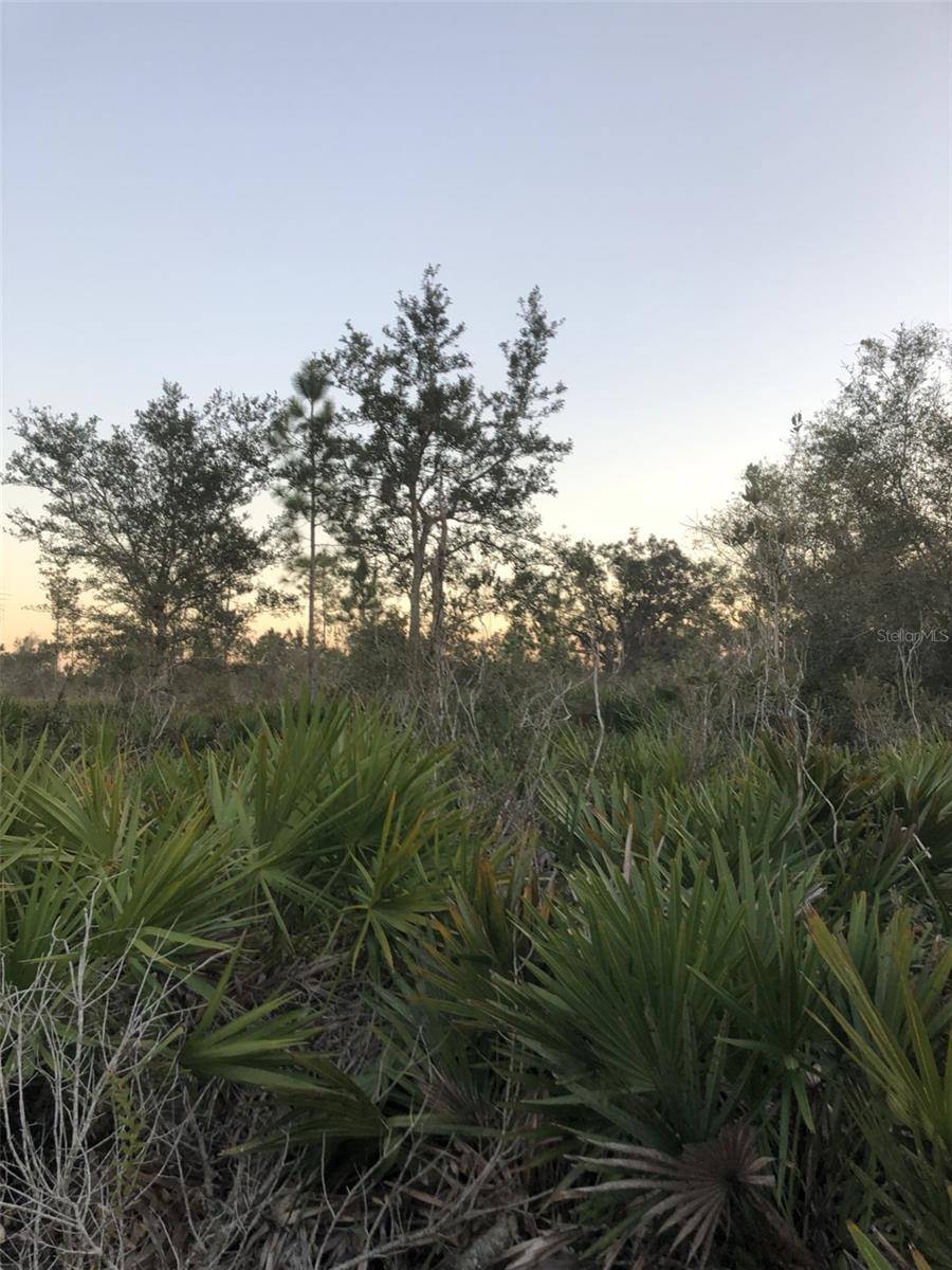 Indian Lake Estates, FL 33855,1111 PORTULACA DR