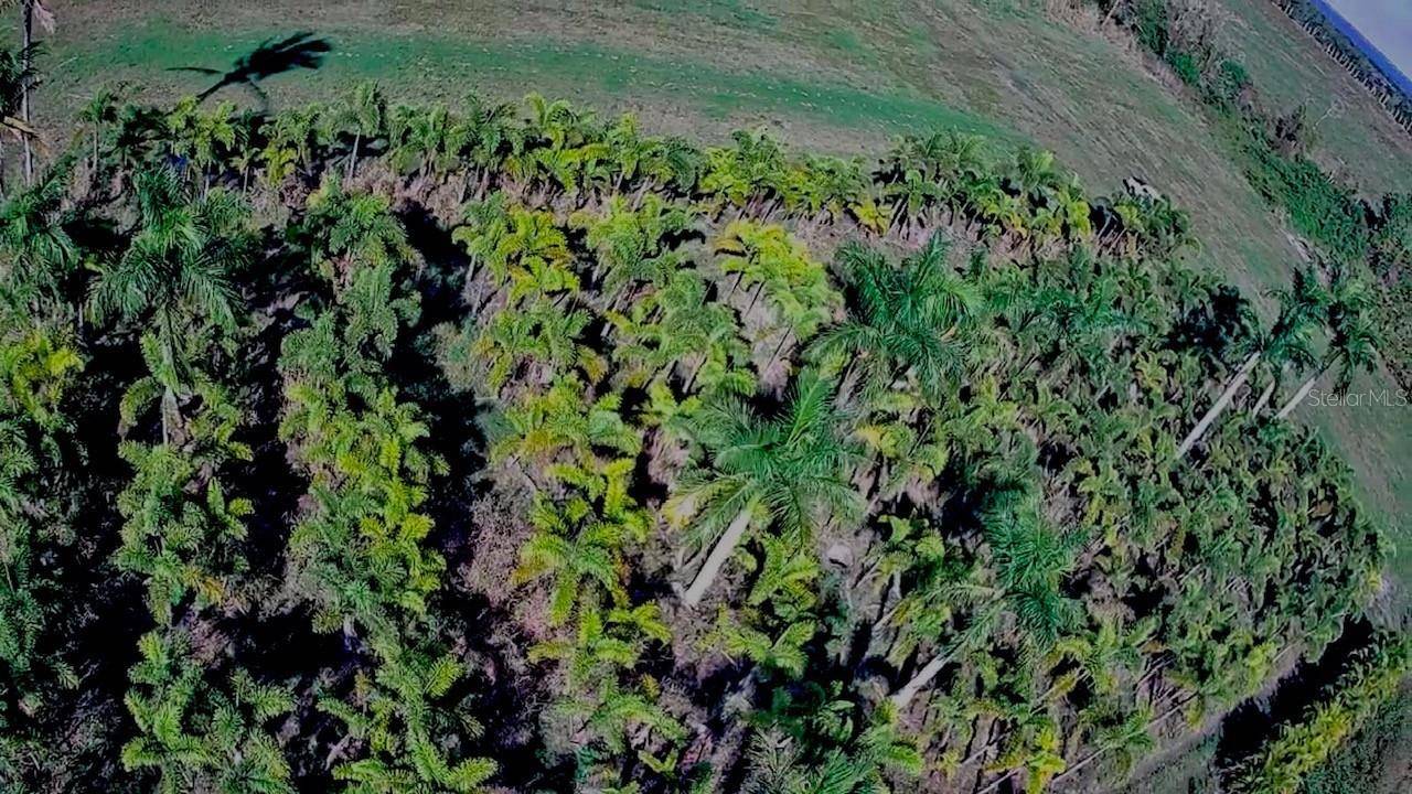 Bokeelia, FL 33922,6100 PINECREST DR