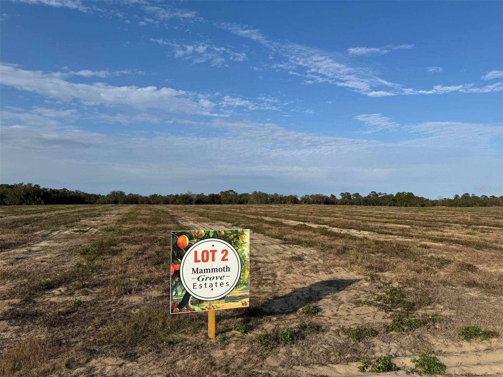 Lake Wales, FL 33898,0 MAMMOTH GRV