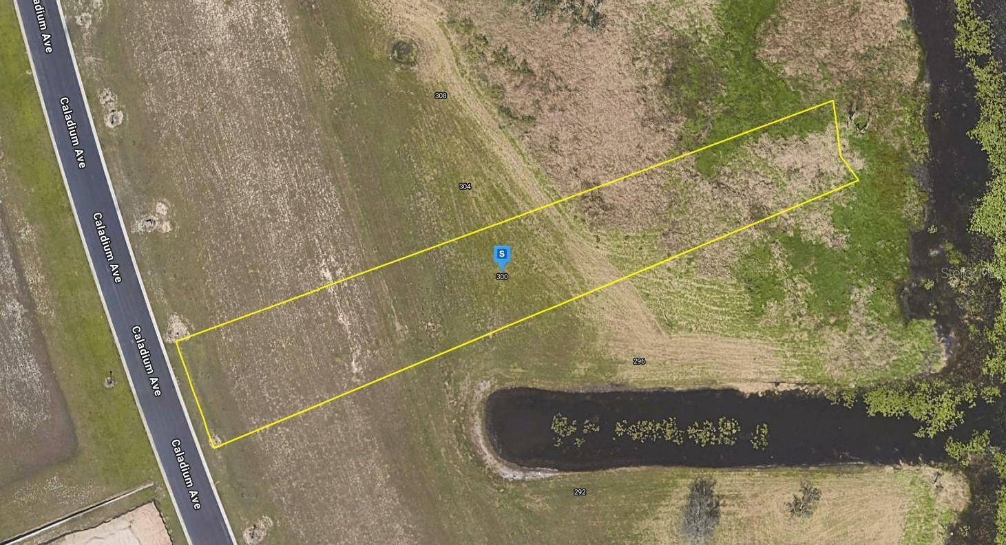 Lake Alfred, FL 33850,300 CALADIUM AVE