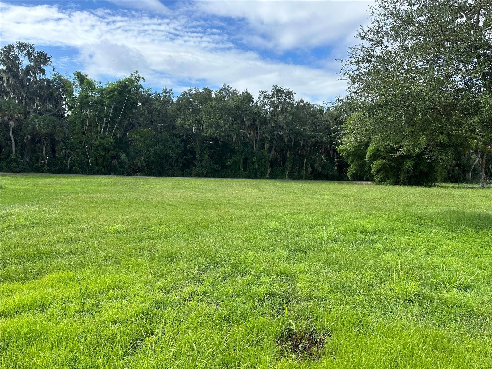 Terra Ceia, FL 34250,1703 CENTER RD