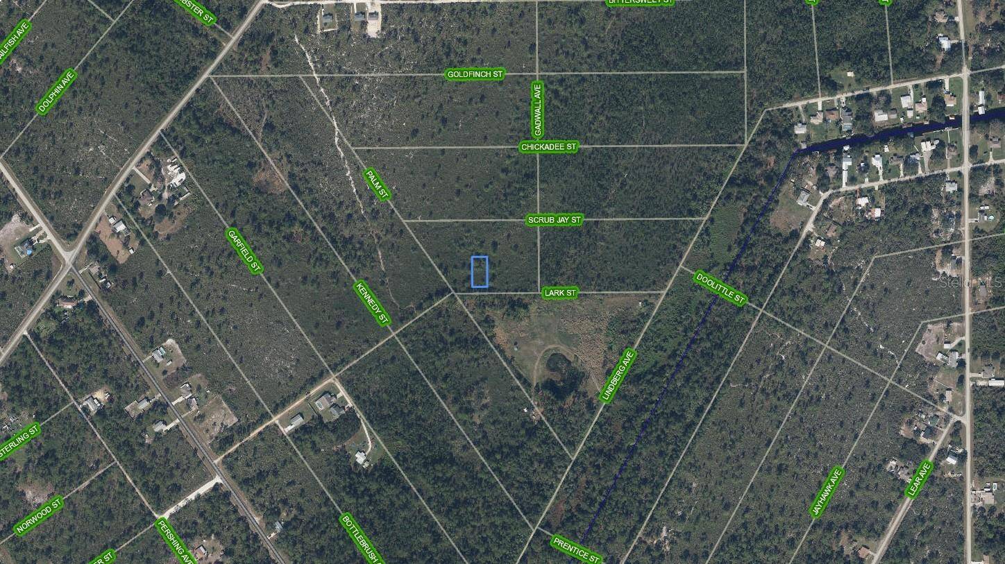 Lake Placid, FL 33852,1318 LARK ST