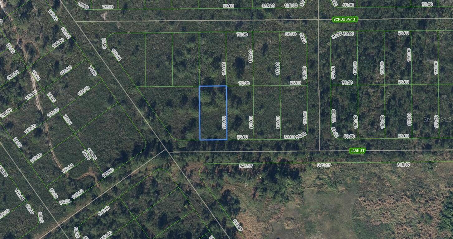 Lake Placid, FL 33852,1318 LARK ST