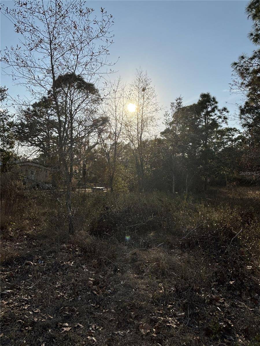 Homosassa, FL 34446,5564 S PEACEFUL PT