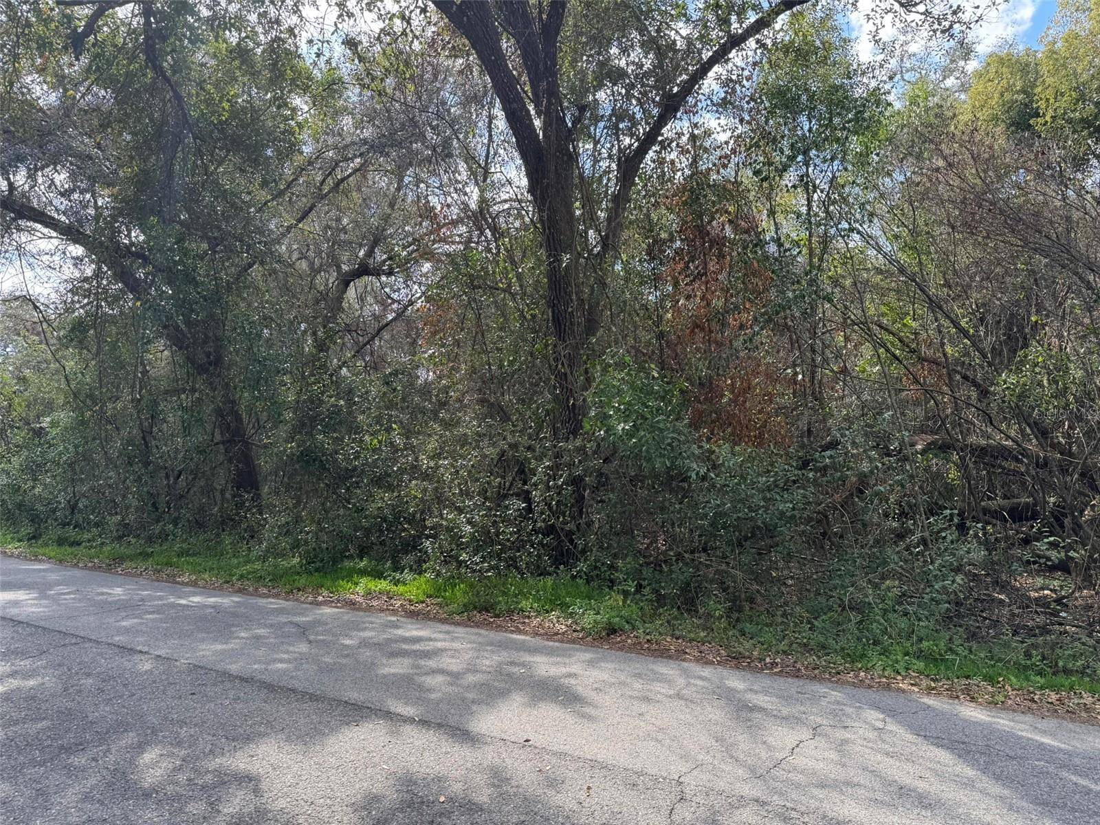 Dade City, FL 33523,Lot 76 IDLE A WHILE CIR