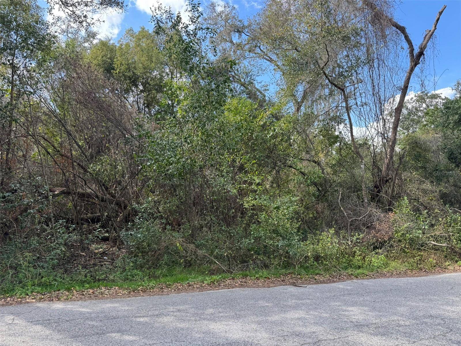 Dade City, FL 33523,Lot 76 IDLE A WHILE CIR