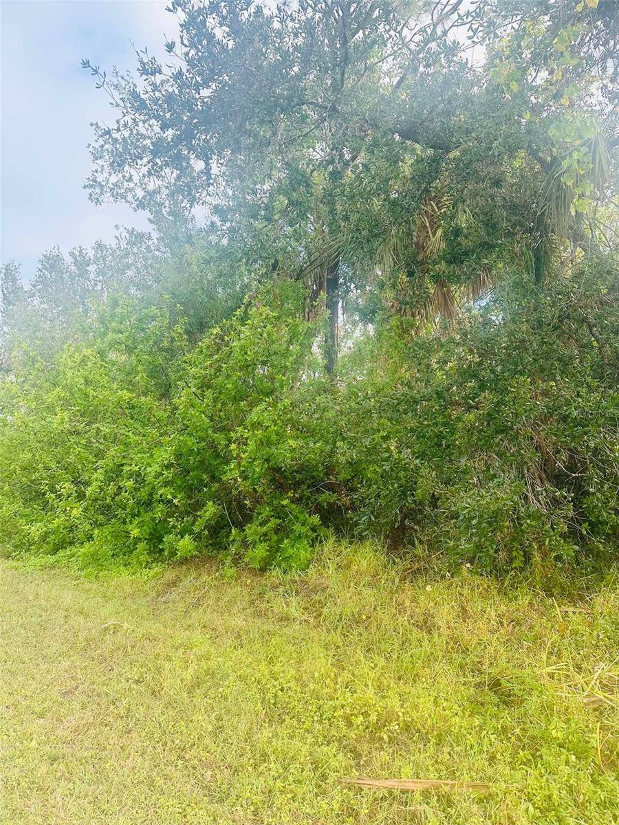 Port Charlotte, FL 33948,4322 SHAPPELL ST