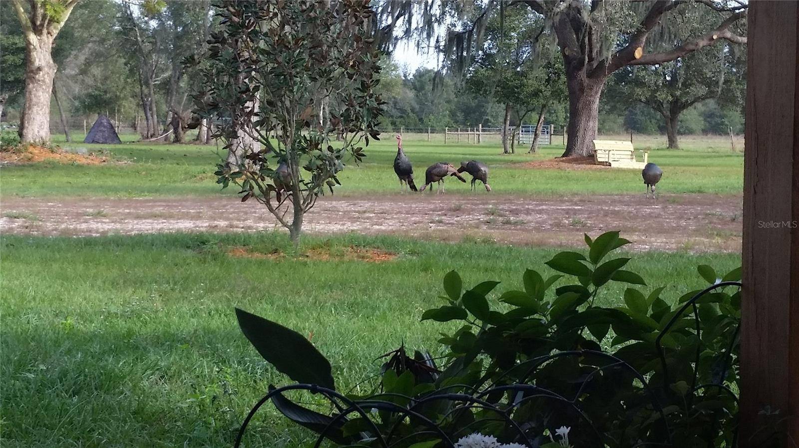 Myakka City, FL 34251,28120 63RD AVE E