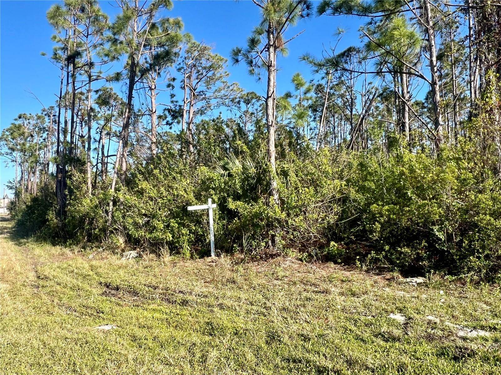 Port Charlotte, FL 33981,15249 RED HEAD AVE