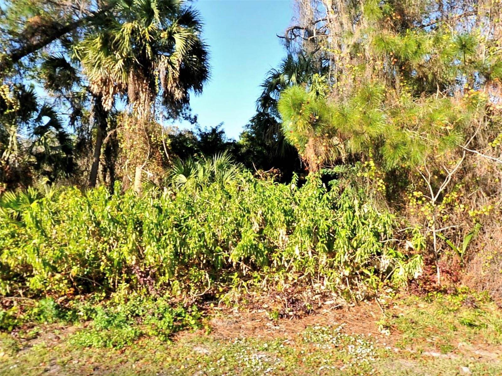 North Port, FL 34286,Lot 19 TUSKET AVE
