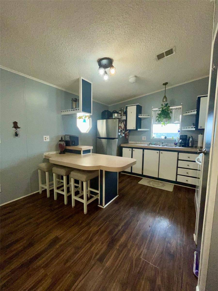Zephyrhills, FL 33541,36037 COLEUS AVE