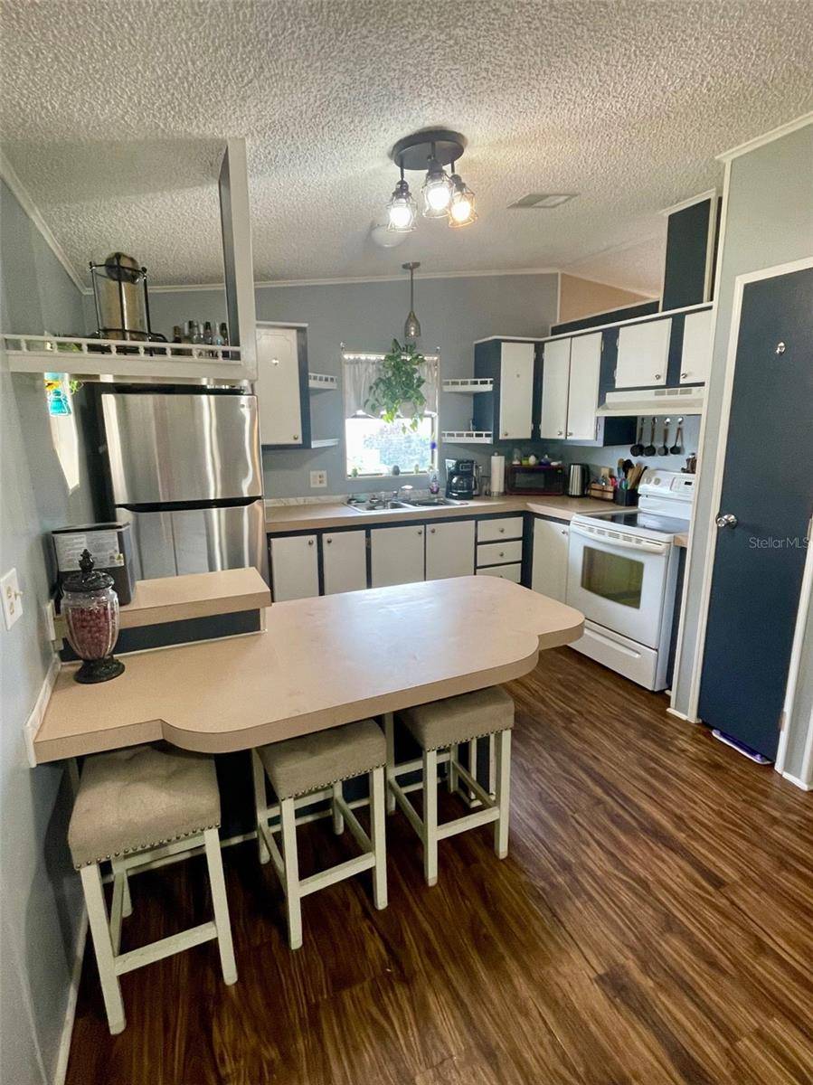 Zephyrhills, FL 33541,36037 COLEUS AVE