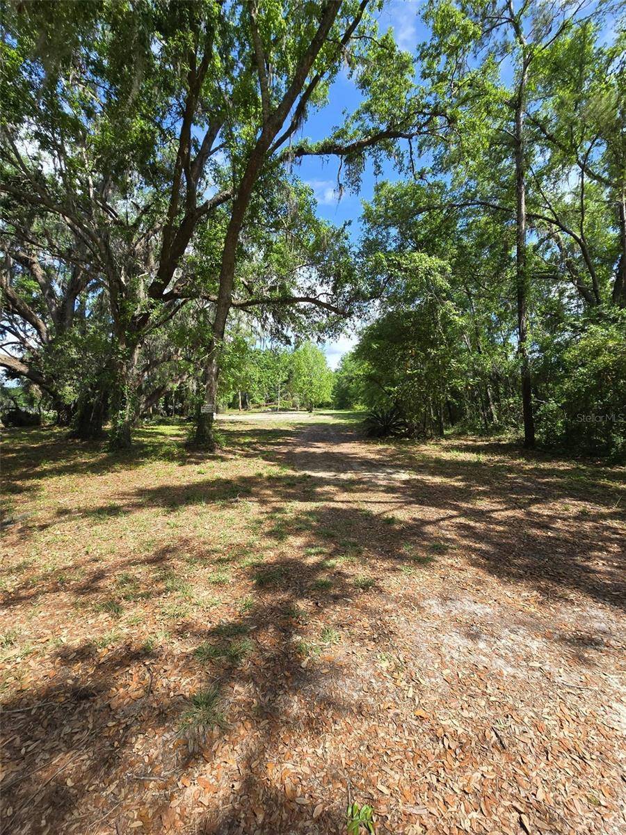 Wellborn, FL 32094,3199 168TH ST