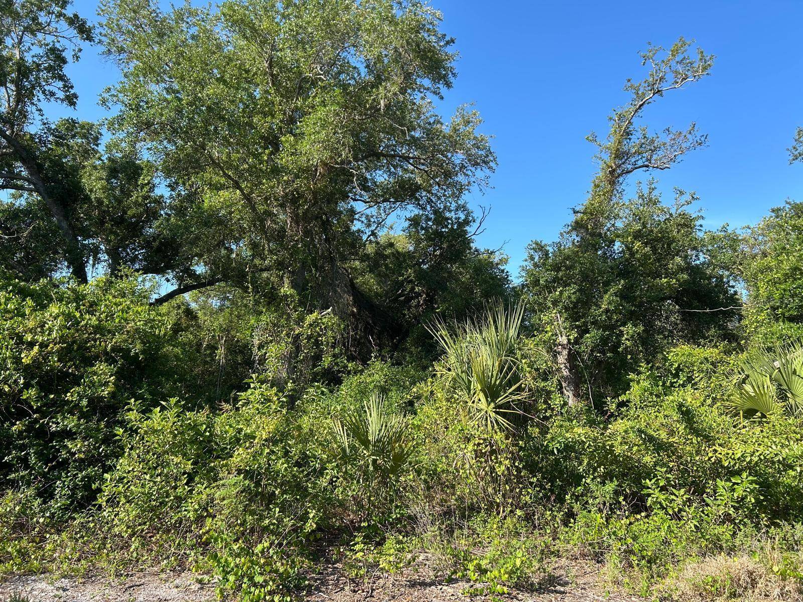 Punta Gorda, FL 33983,1390 HILLARY TER