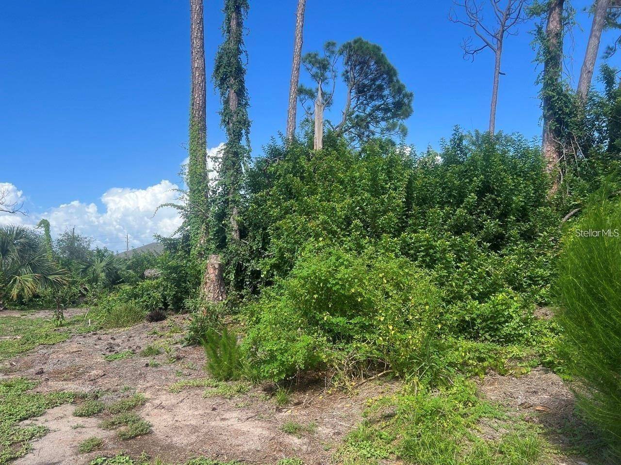 Englewood, FL 34224,7282 ROSEMONT DR