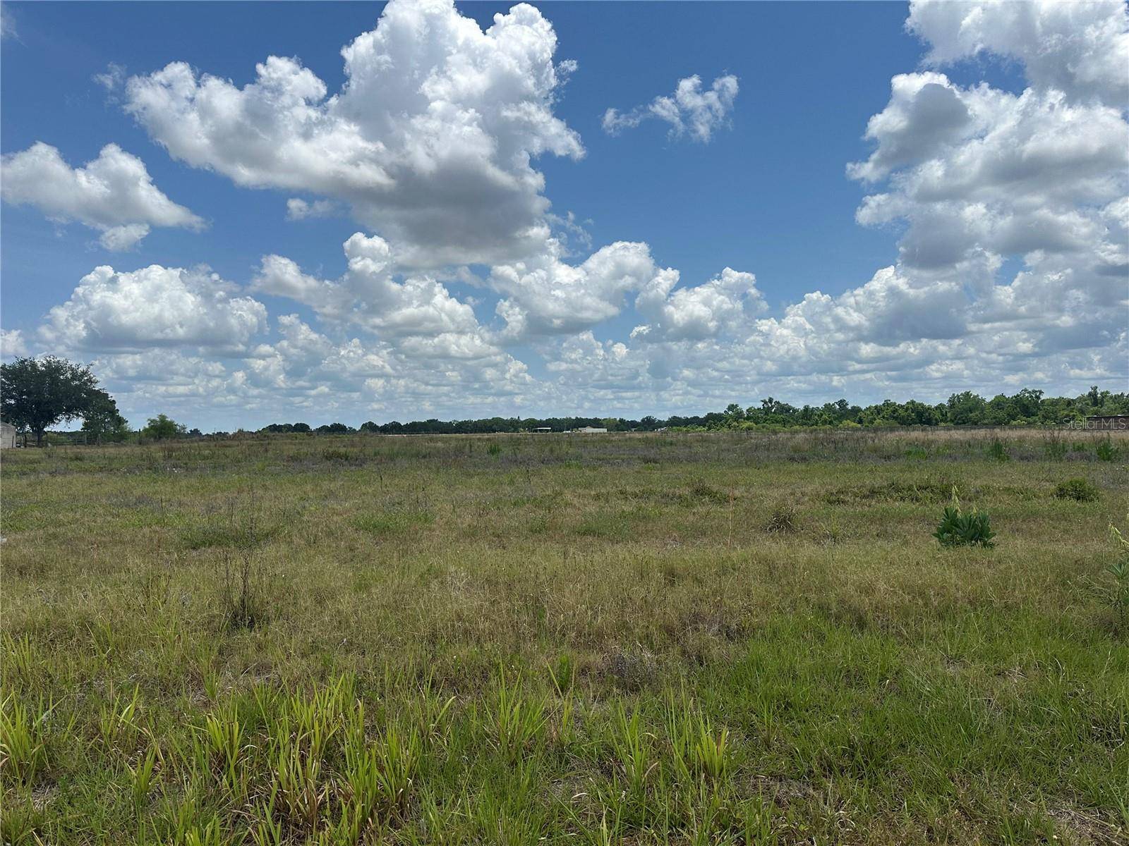 Wauchula, FL 33873,POLK RD