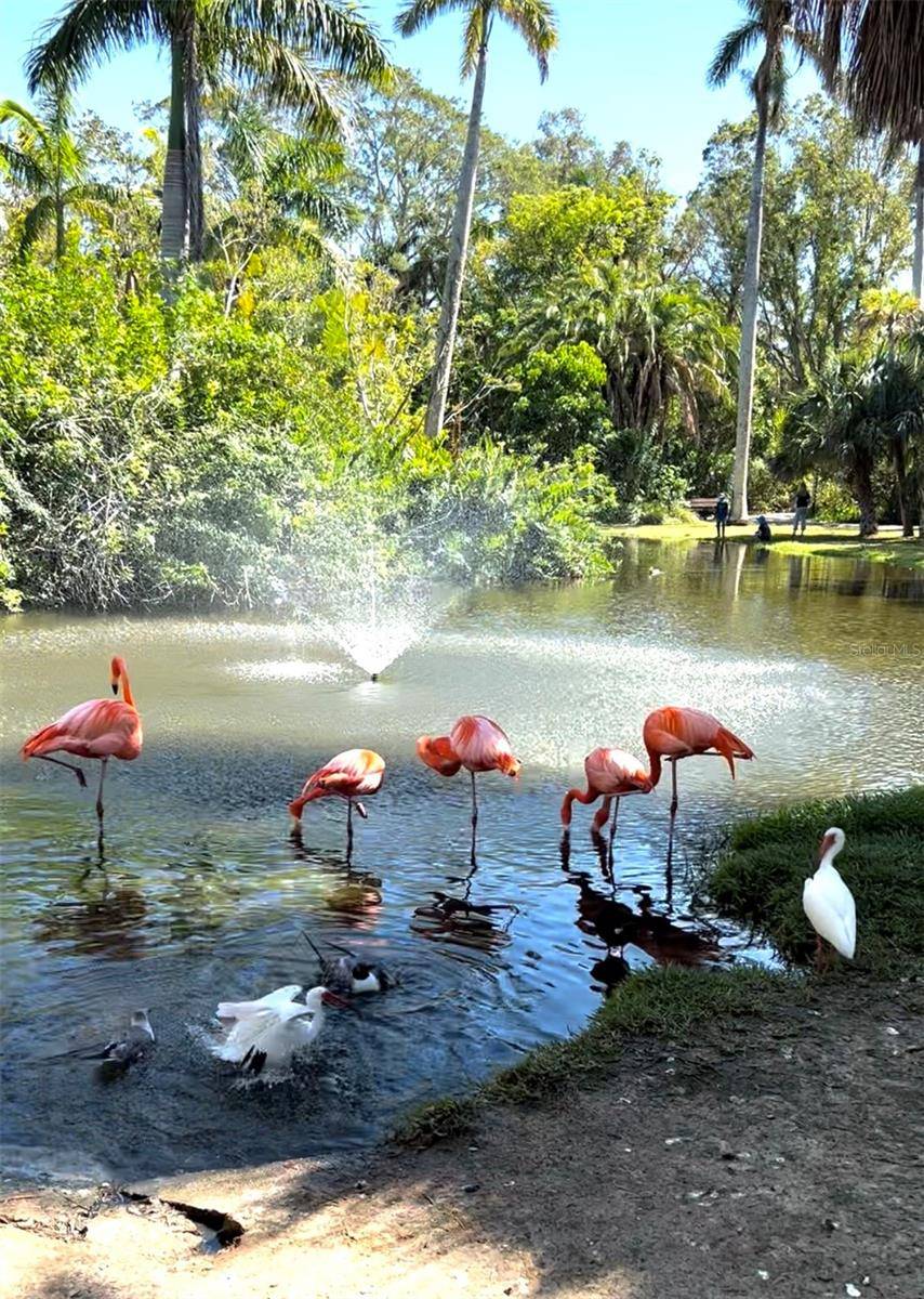 Rotonda West, FL 33947,168 ROTONDA BLVD E