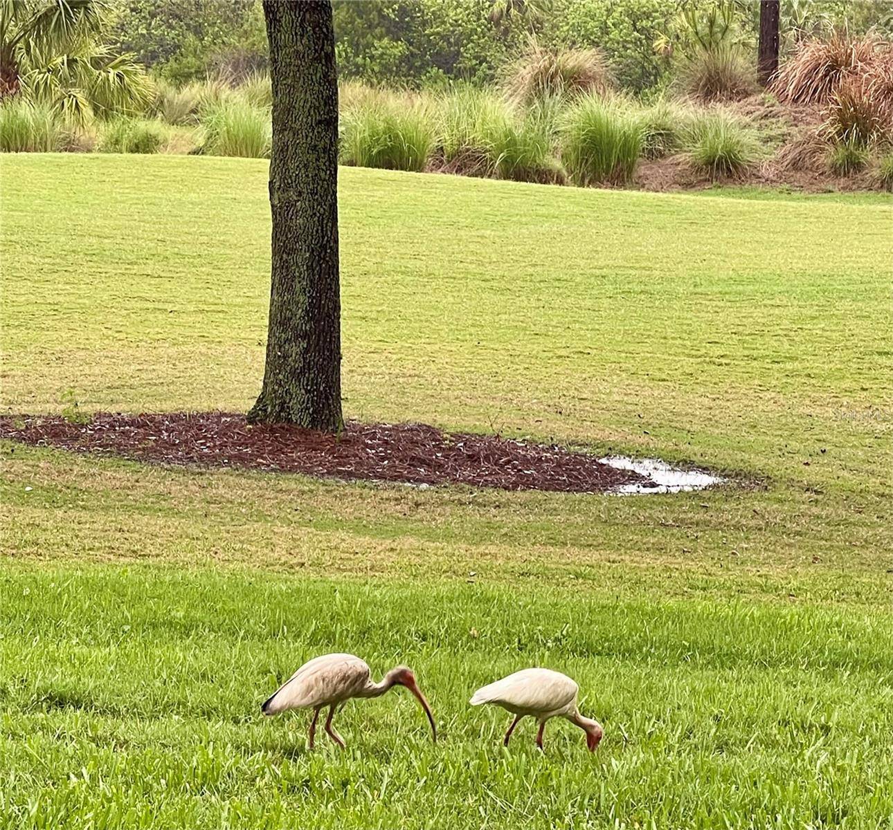 Bradenton, FL 34212,8403 GRAND ESTUARY TRL #102