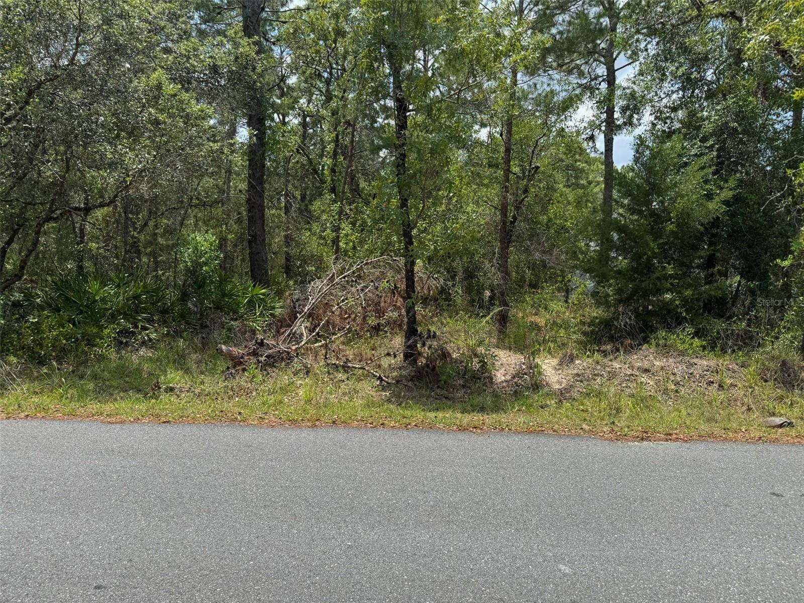 Weeki Wachee, FL 34613,Lot 62 MICHIGAN AVE