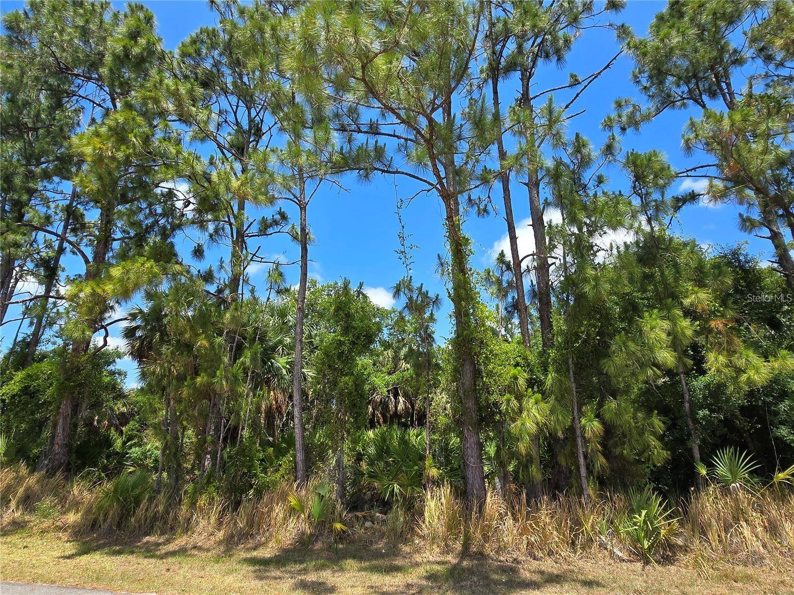 North Port, FL 34286,EMPORIA TER