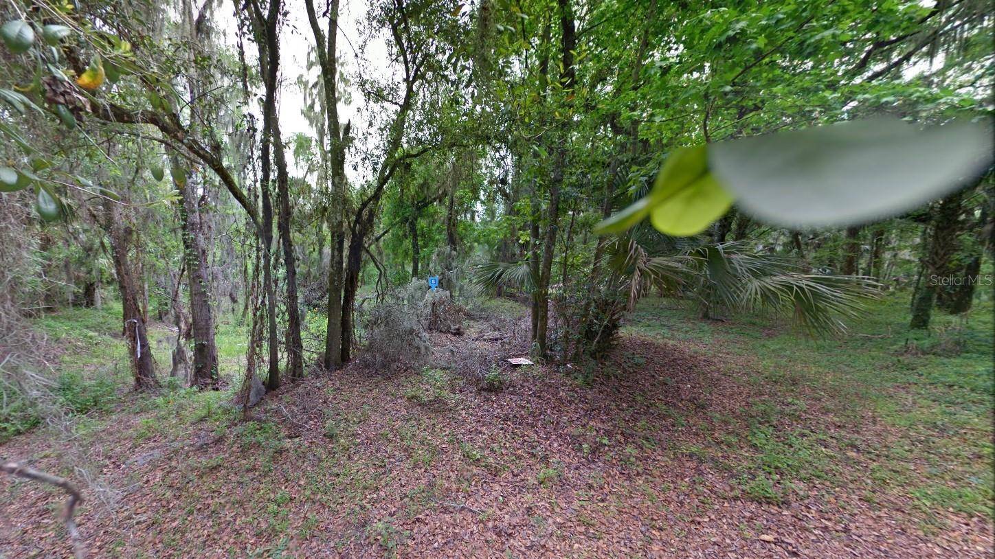 Valrico, FL 33596,4513 COCONUT COVE PL