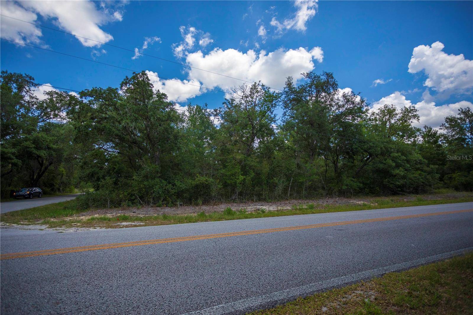 Dunnellon, FL 34431,SW WINDING HILLS RD