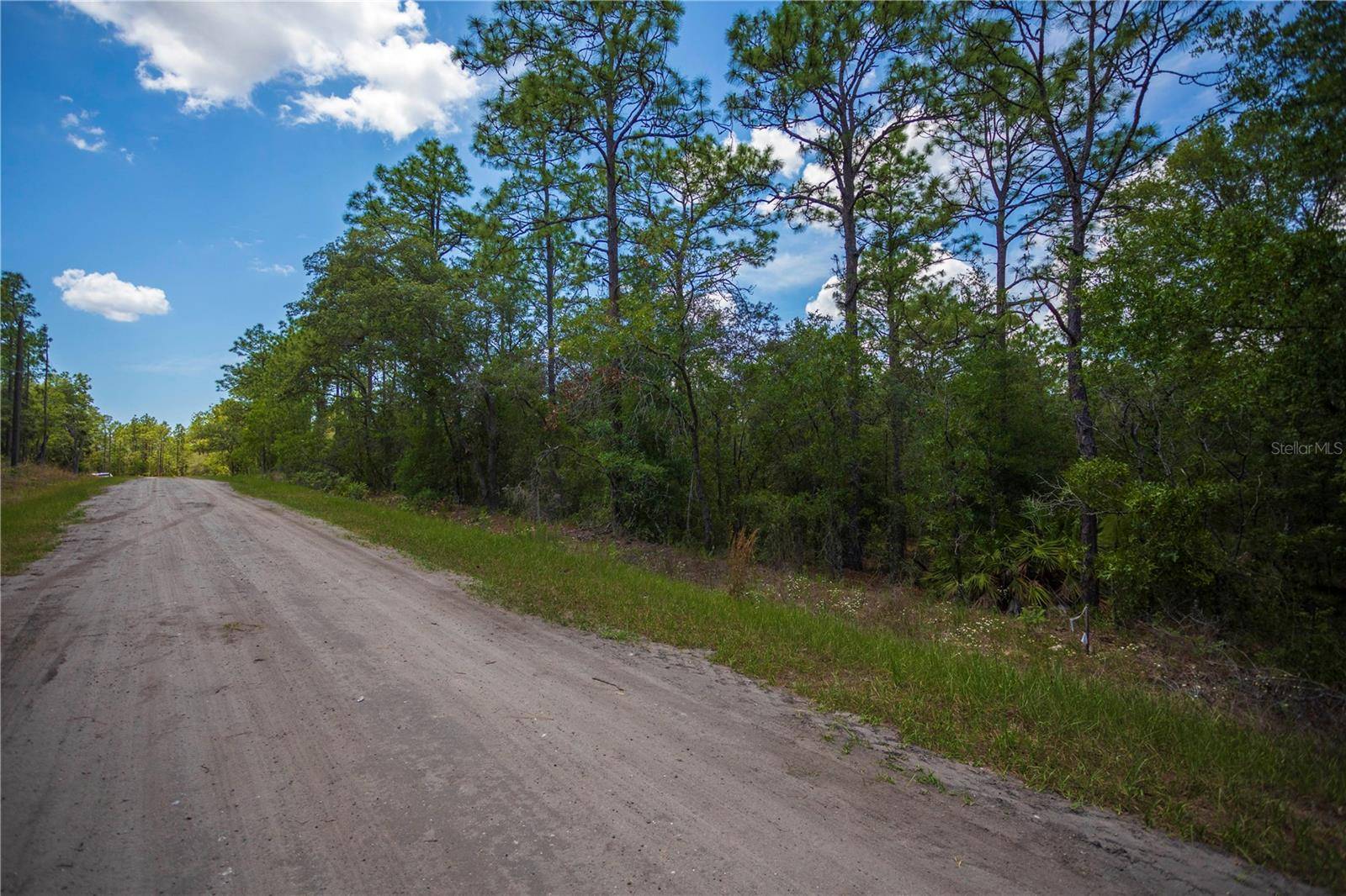 Dunnellon, FL 34432,SW 87TH ST