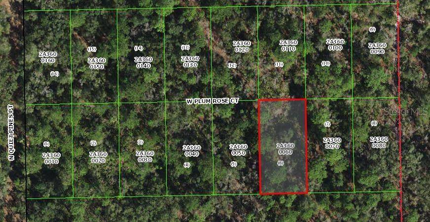 Crystal River, FL 34429,9782 W PLUM ROSE CT