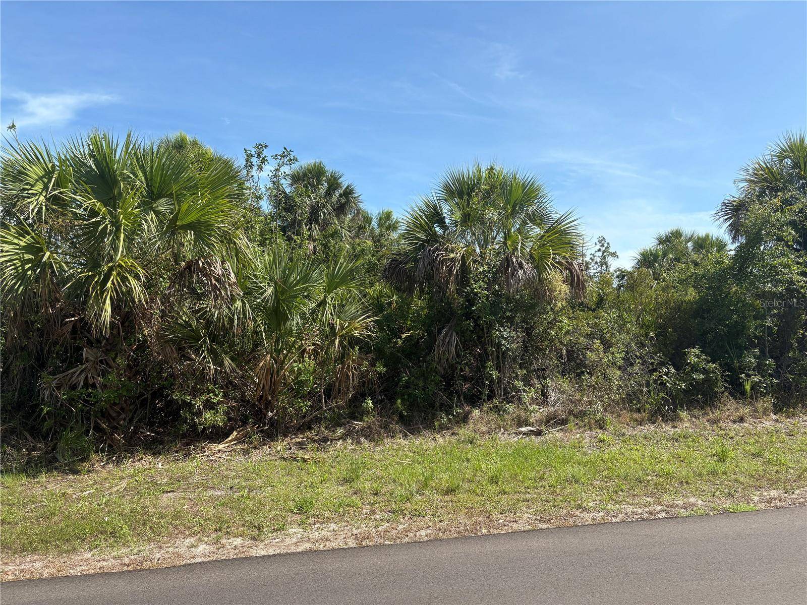 Port Charlotte, FL 33981,12023 GROUSE AVE