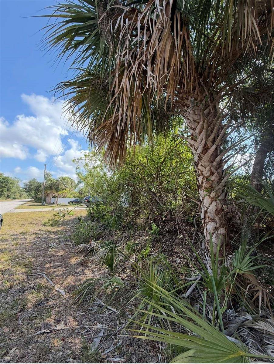 Port Charlotte, FL 33954,404 BARGER DR