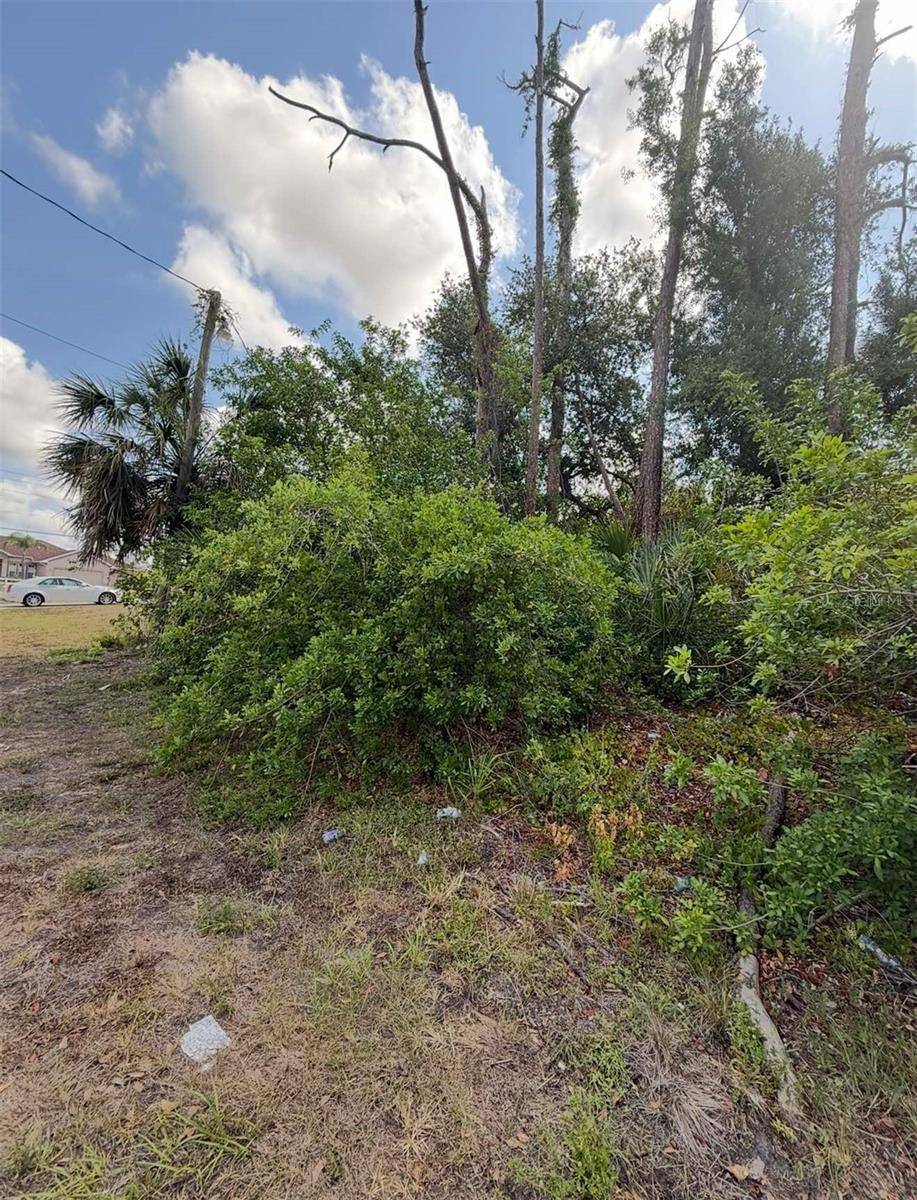 Port Charlotte, FL 33954,17285 MALTA AVE