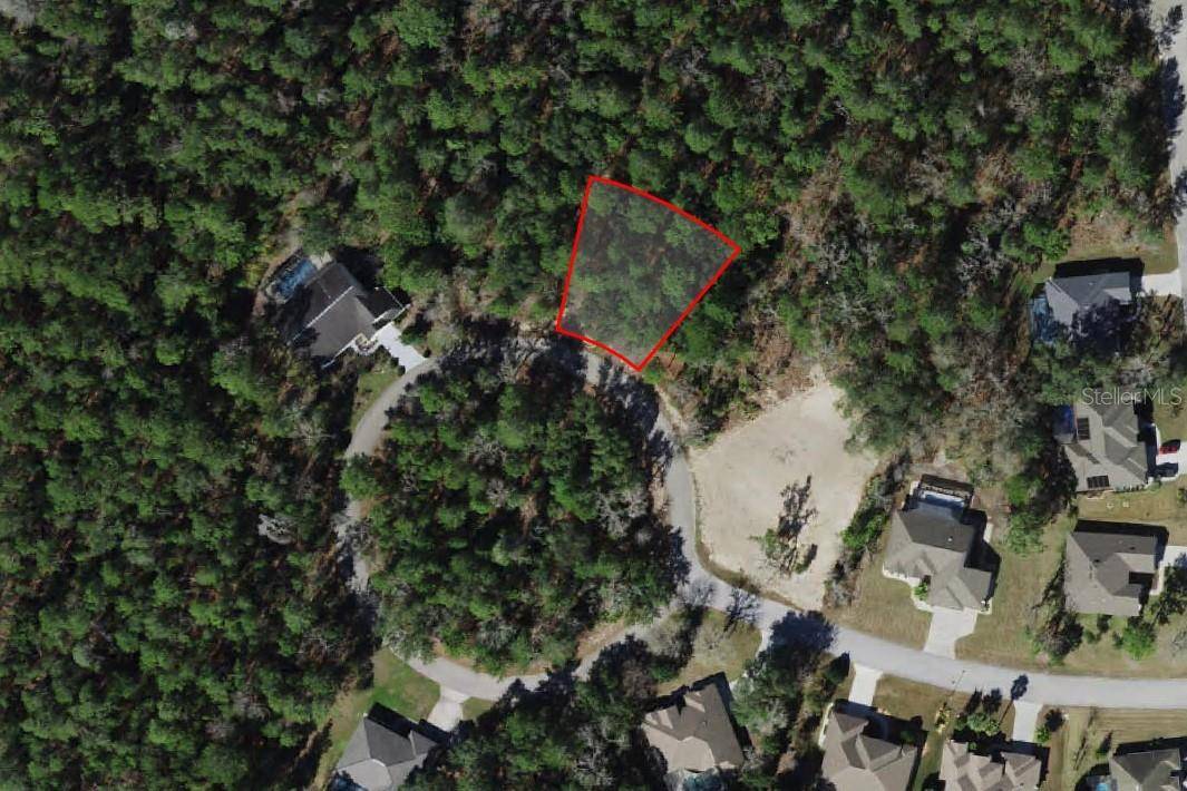 Homosassa, FL 34446,10 MIMOSA CT W
