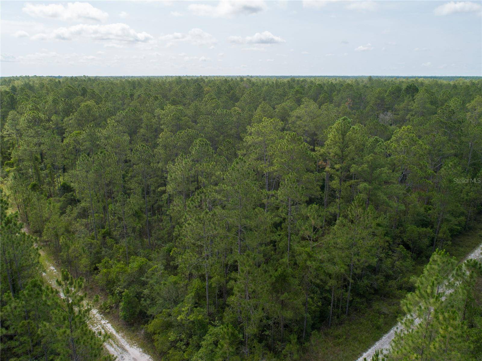 Hastings, FL 32145,DONNA ST