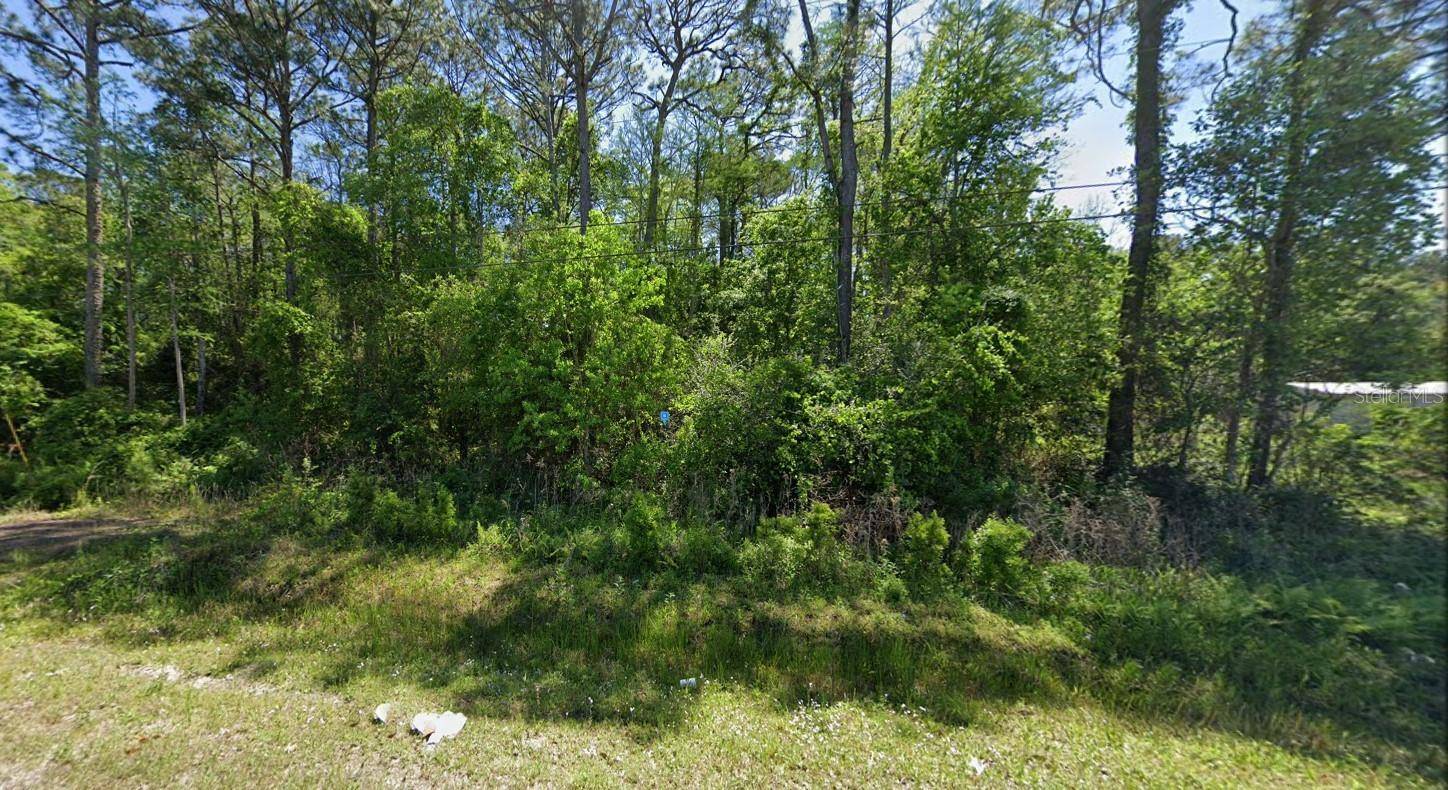 Middleburg, FL 32068,2223 COSMOS AVE