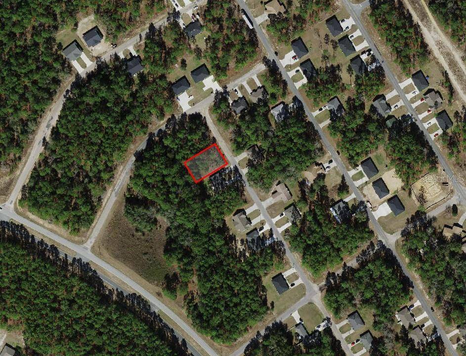 Citrus Springs, FL 34434,9390 N PEACHTREE WAY