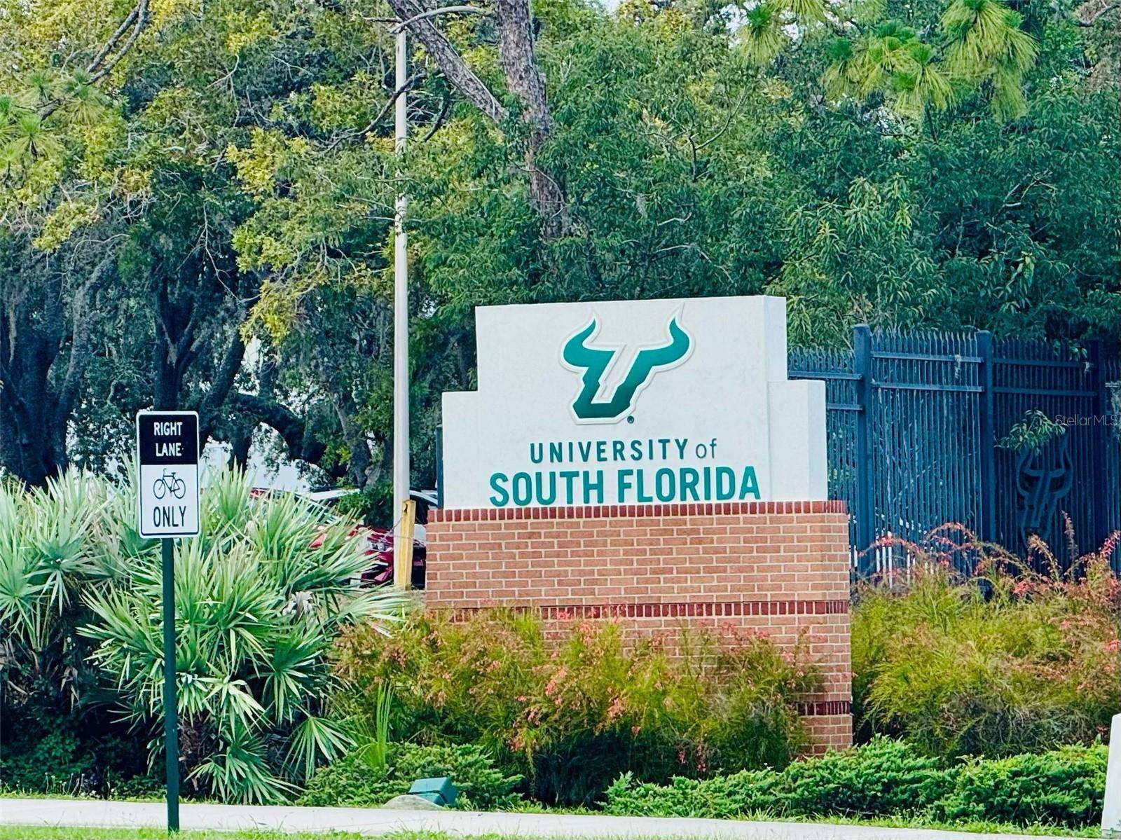 Tampa, FL 33617,5238 SUNRIDGE PALMS DR