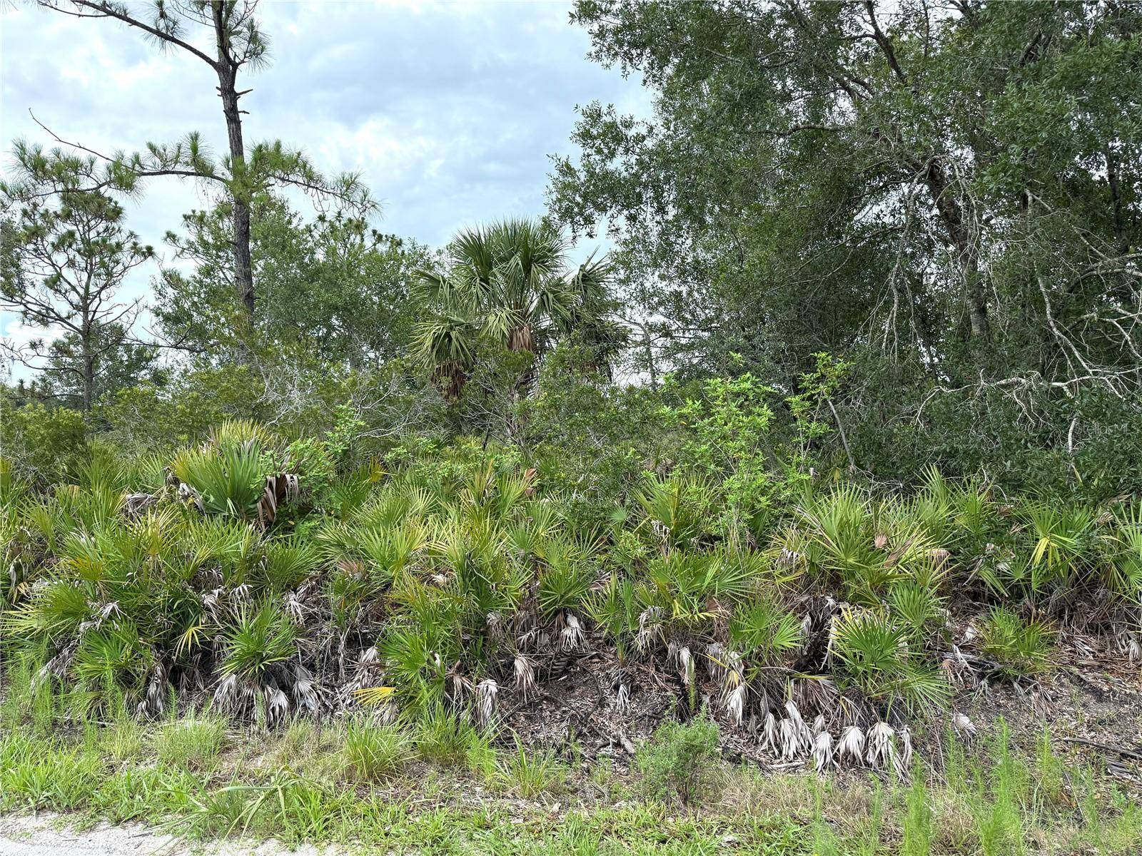 Punta Gorda, FL 33980,24774 NOVA LN