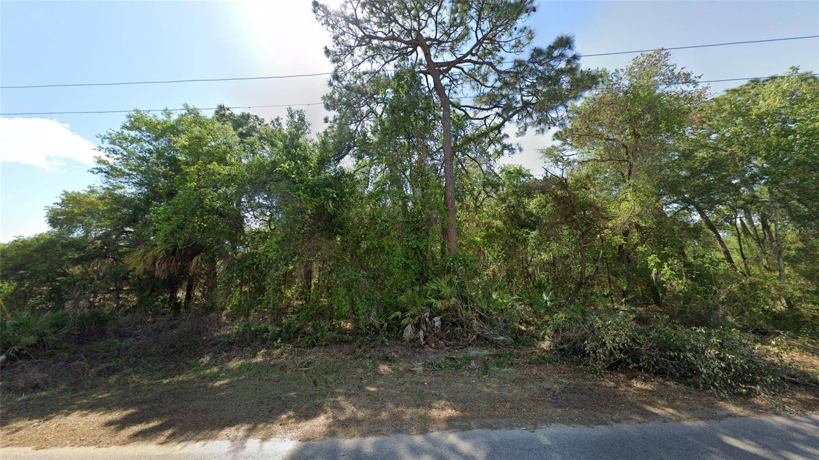 Homosassa, FL 34448,1188 S GETTYSBURG DR