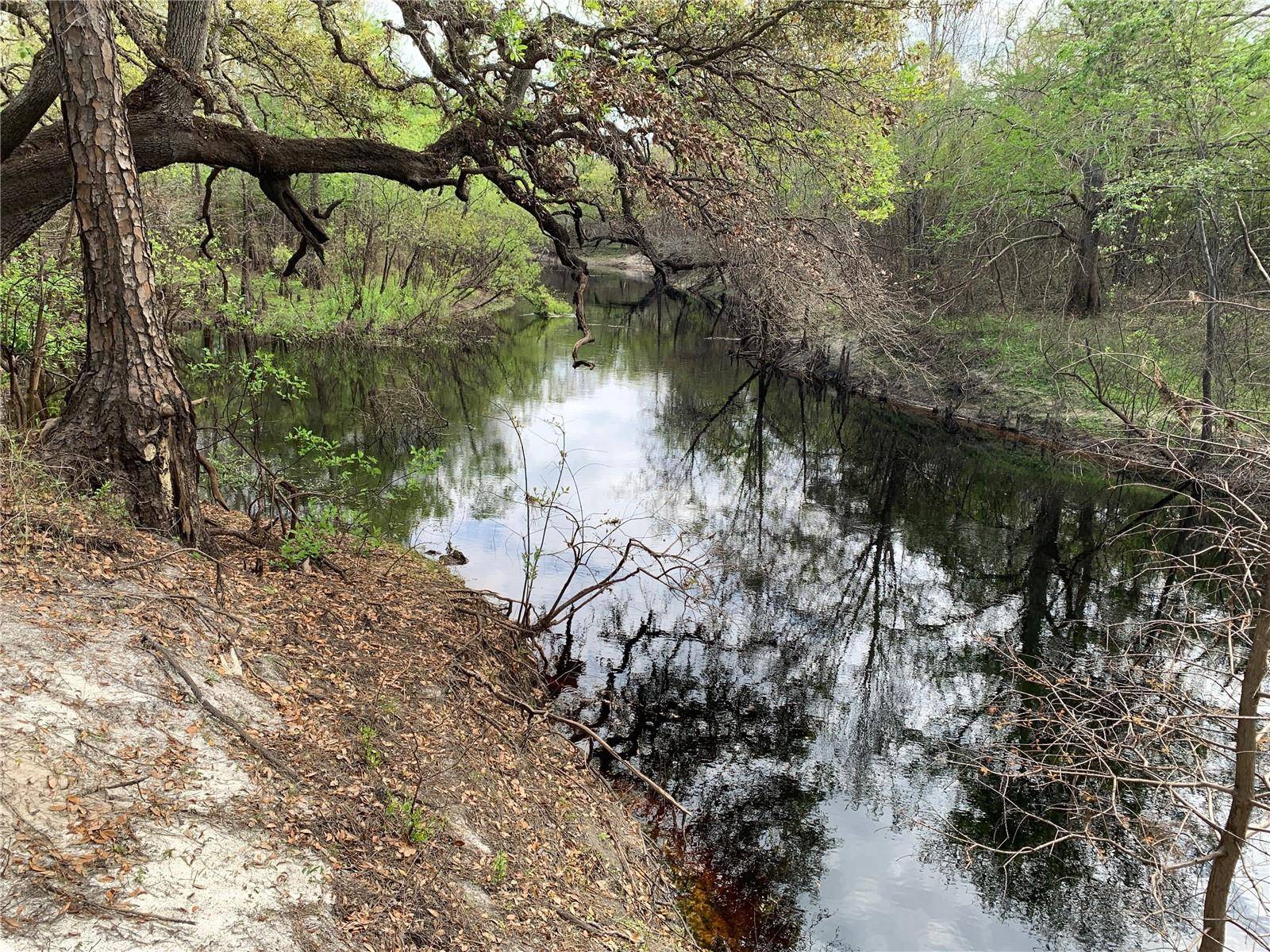 Dade City, FL 33523,33074 RANCH RD