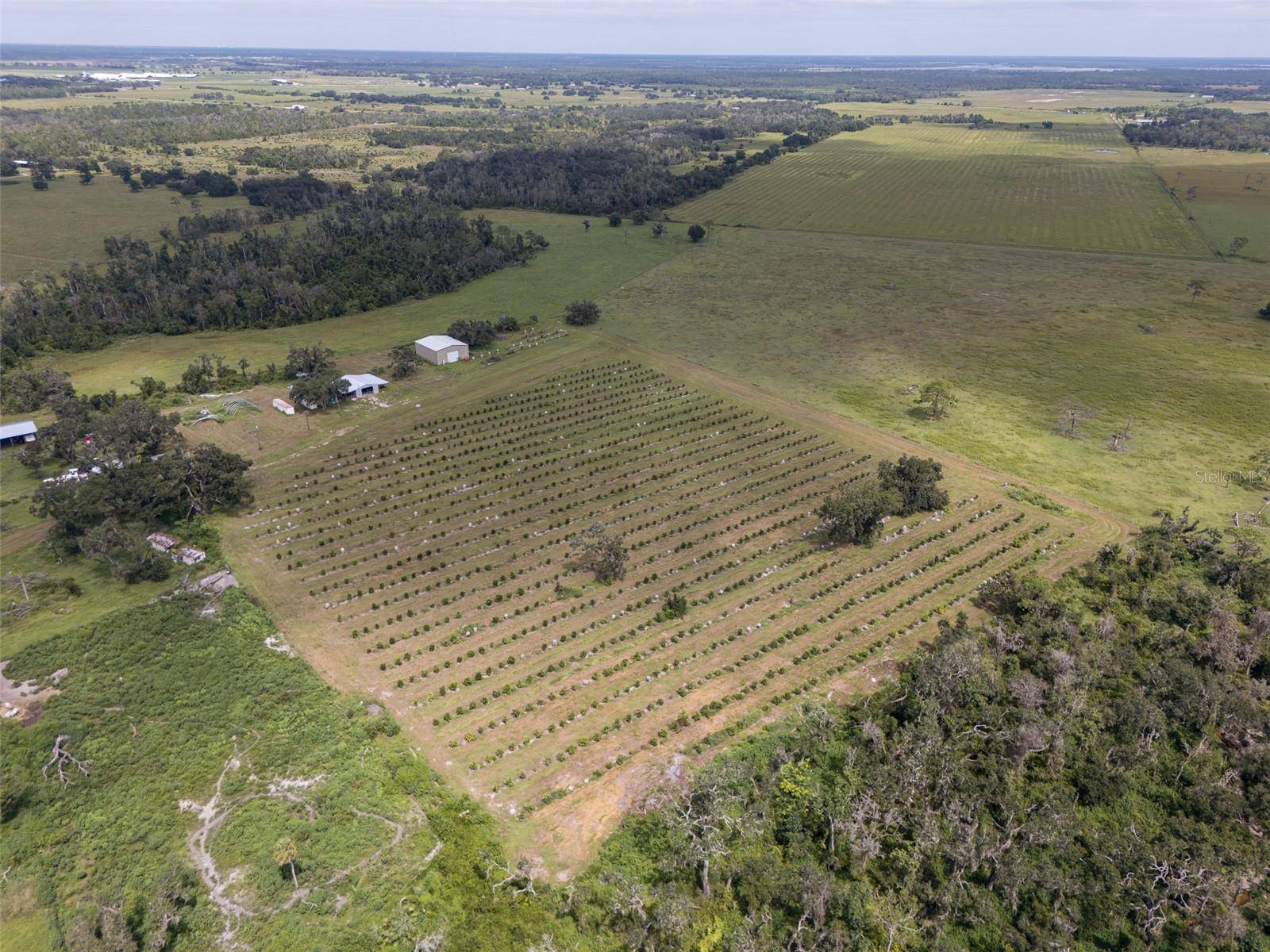 Myakka City, FL 34251,32715 SINGLETARY RD