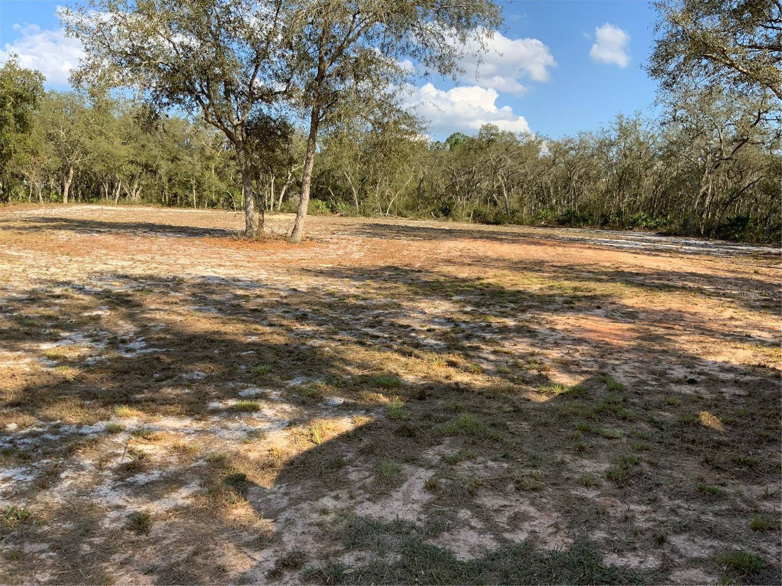 Frostproof, FL 33843,1865 SCRUB JAY TRL