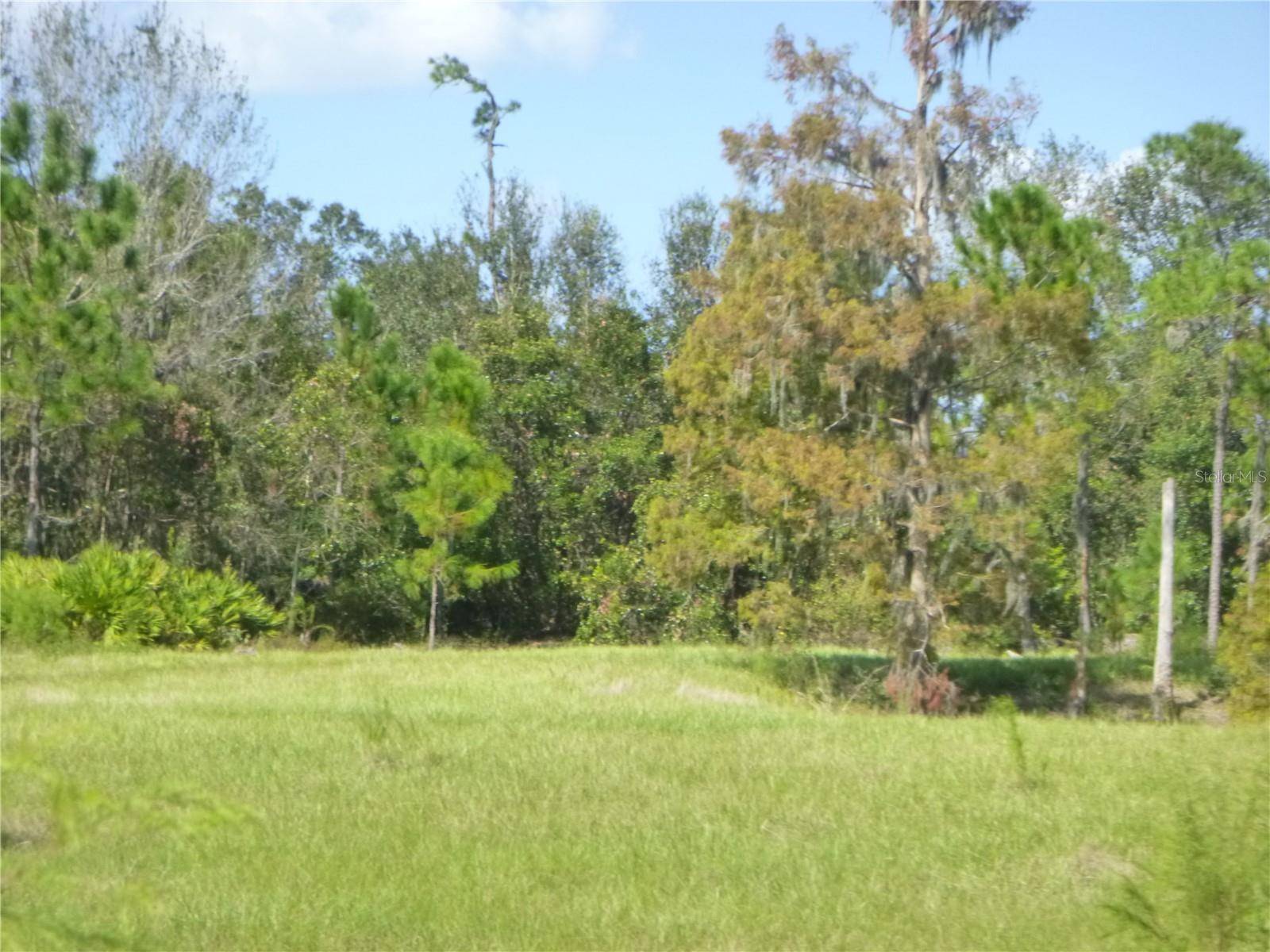 Fort Meade, FL 33841,2600 GABRIEL RD
