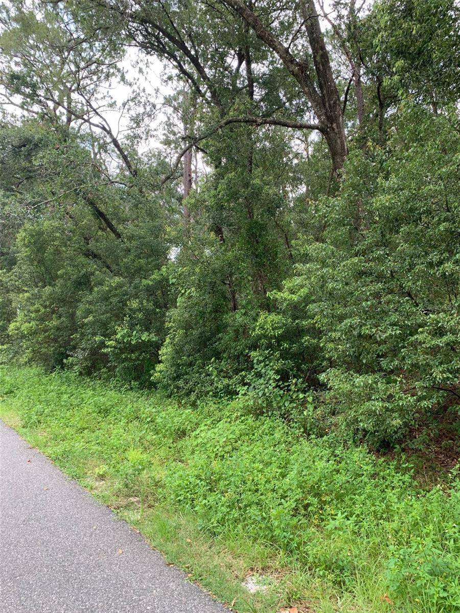 Sorrento, FL 32776,0 THORNHILL DR