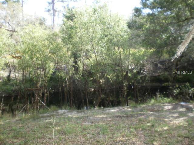 Zolfo Springs, FL 33890,BRONCO DR