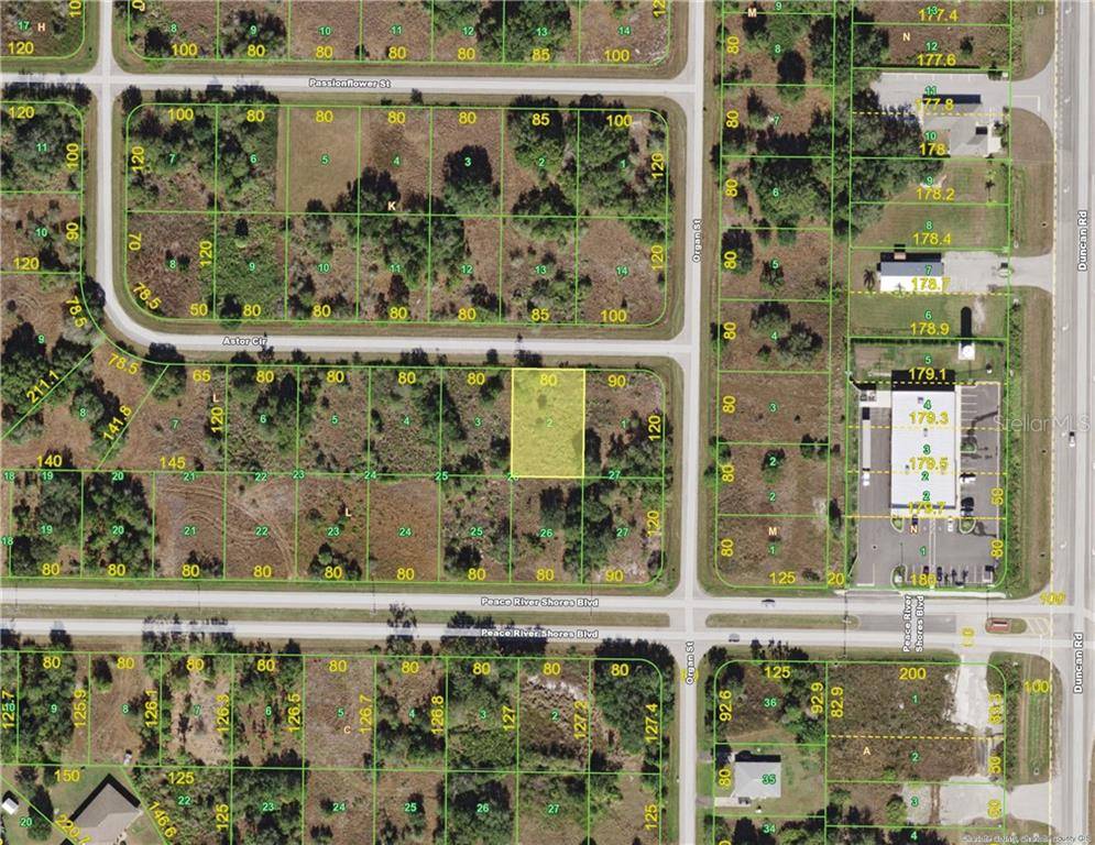 Punta Gorda, FL 33982,341 ASTOR CIR