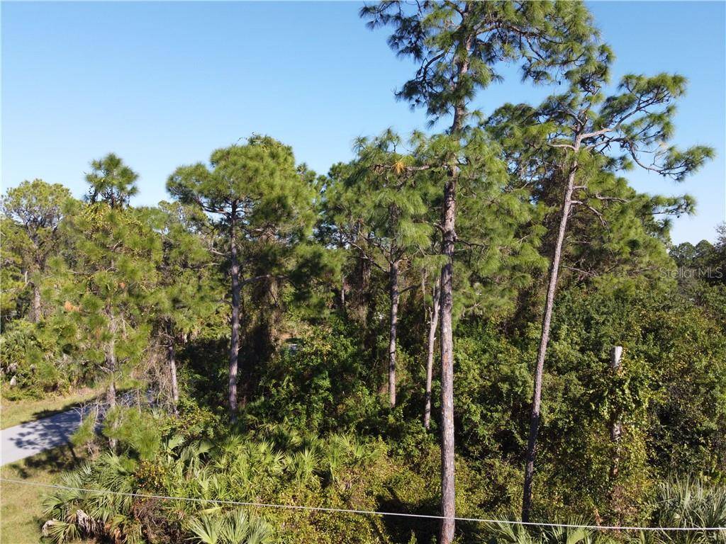 North Port, FL 34288,lot 9 AMNESTY DR