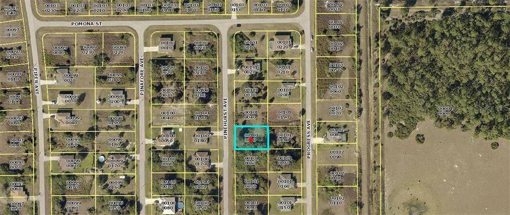 Lehigh Acres, FL 33974,423 PINEHURST AVE