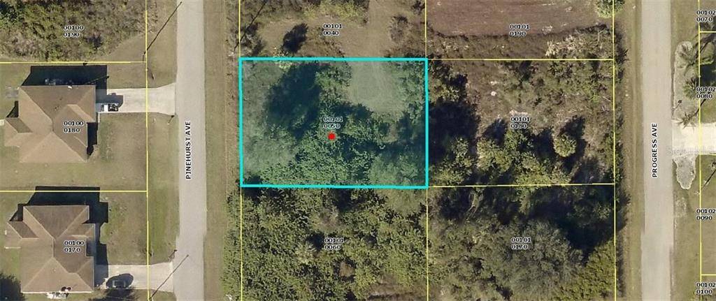 Lehigh Acres, FL 33974,423 PINEHURST AVE