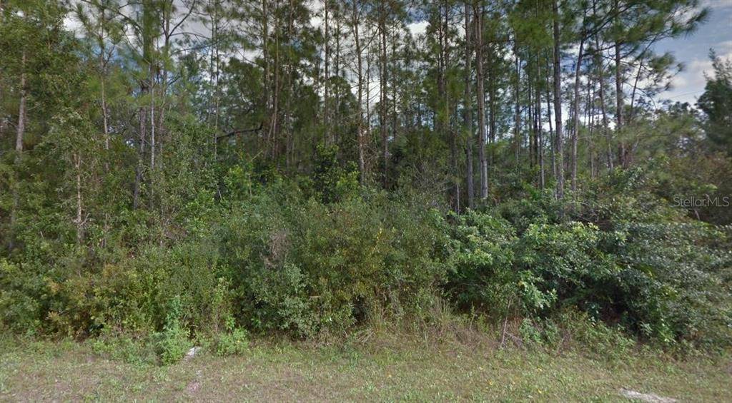 Lehigh Acres, FL 33972,228 SINGER ST